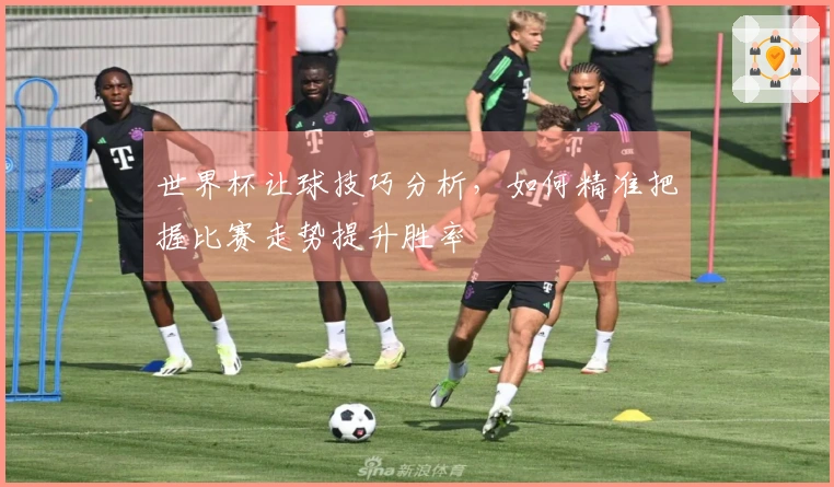 世界杯让球技巧分析，如何精准把握比赛走势提升胜率