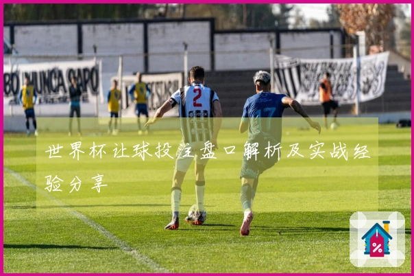 世界杯让球投注盘口解析及实战经验分享