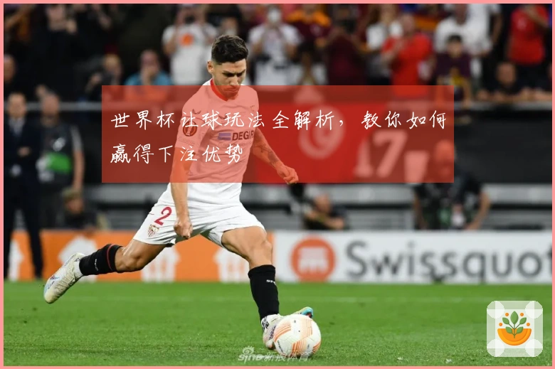 世界杯让球玩法全解析，教你如何赢得下注优势