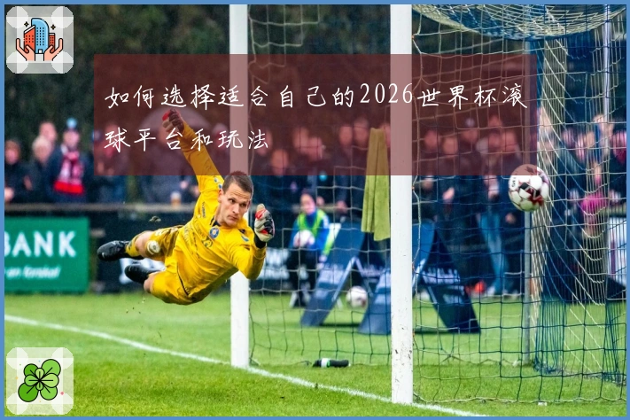 如何选择适合自己的2026世界杯滚球平台和玩法